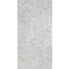 Coral Stone Silver External 300x600