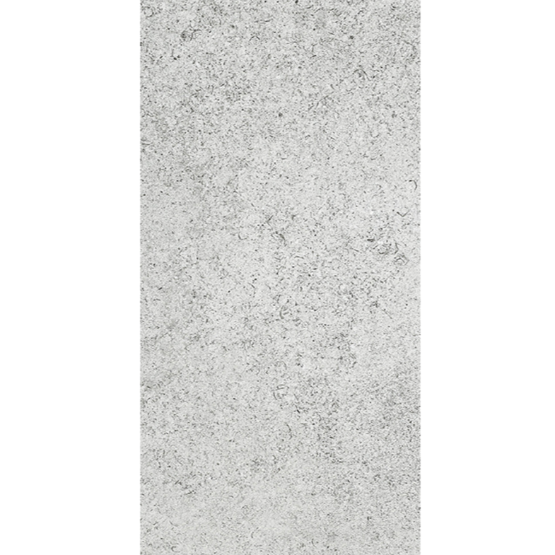 Coral Stone Silver Matt 300x600