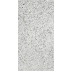 Coral Stone Silver Matt 300x600