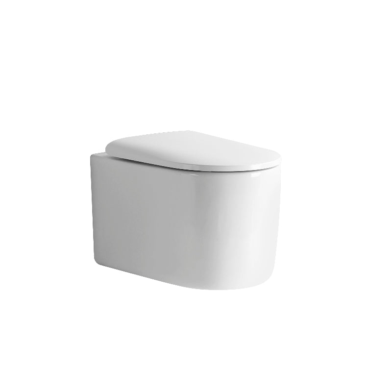 Senza Tornado Rimless Flush Wall-Hung Pan