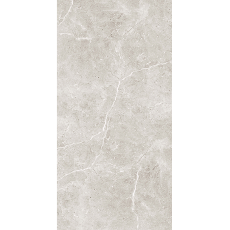Ocean Taupe Polished 600x1200