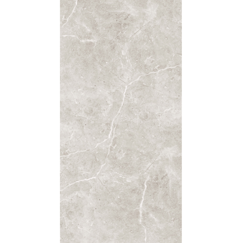 Ocean Taupe Matt 600x1200