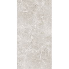 Ocean Taupe Polished 300x600