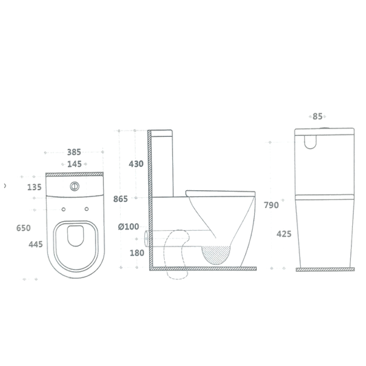 Betro Rimless Flushing Toilet Suite - Ceramicahomes