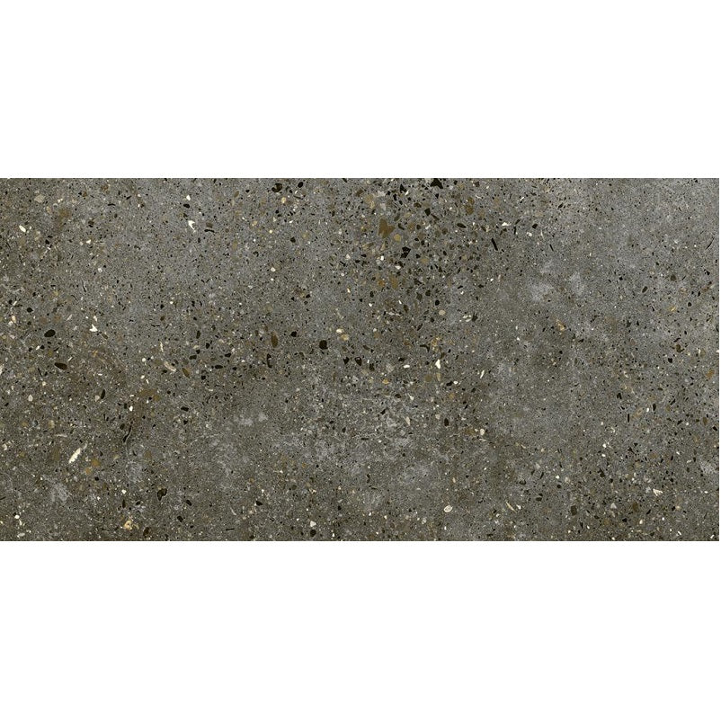 Cemento Grezzo Charcoal Lappato 300x600mm