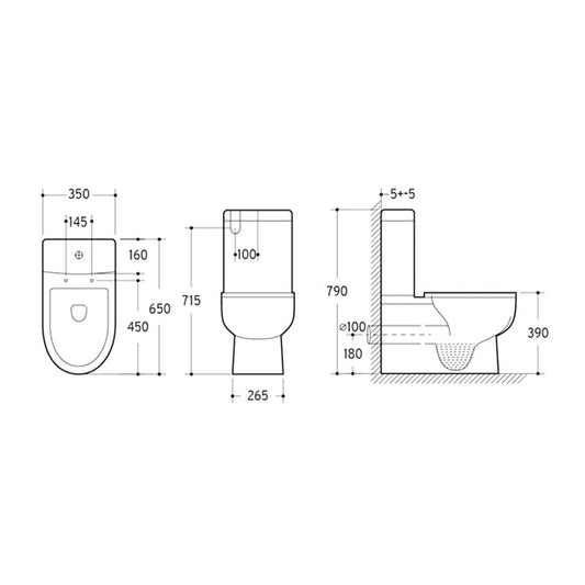 Nicia Wall Faced Toilet Suite - Ceramicahomes