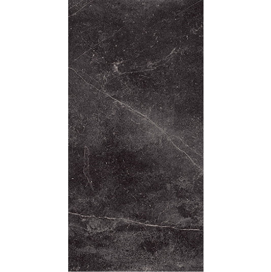 Pisa Anthracite Matte 300x600